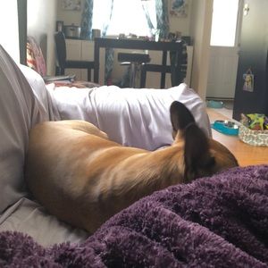 Meet your Posher, Alexis